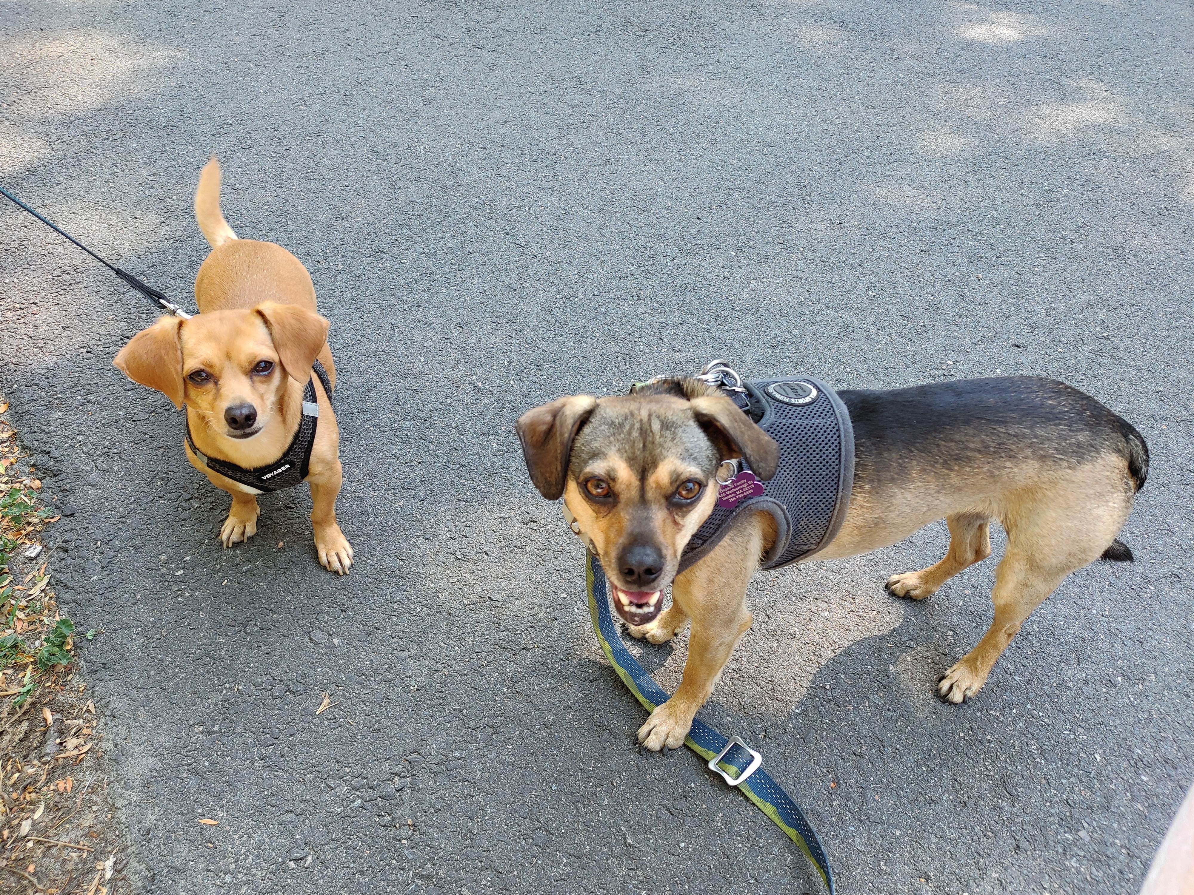 Lily and Fred on the Esplanade