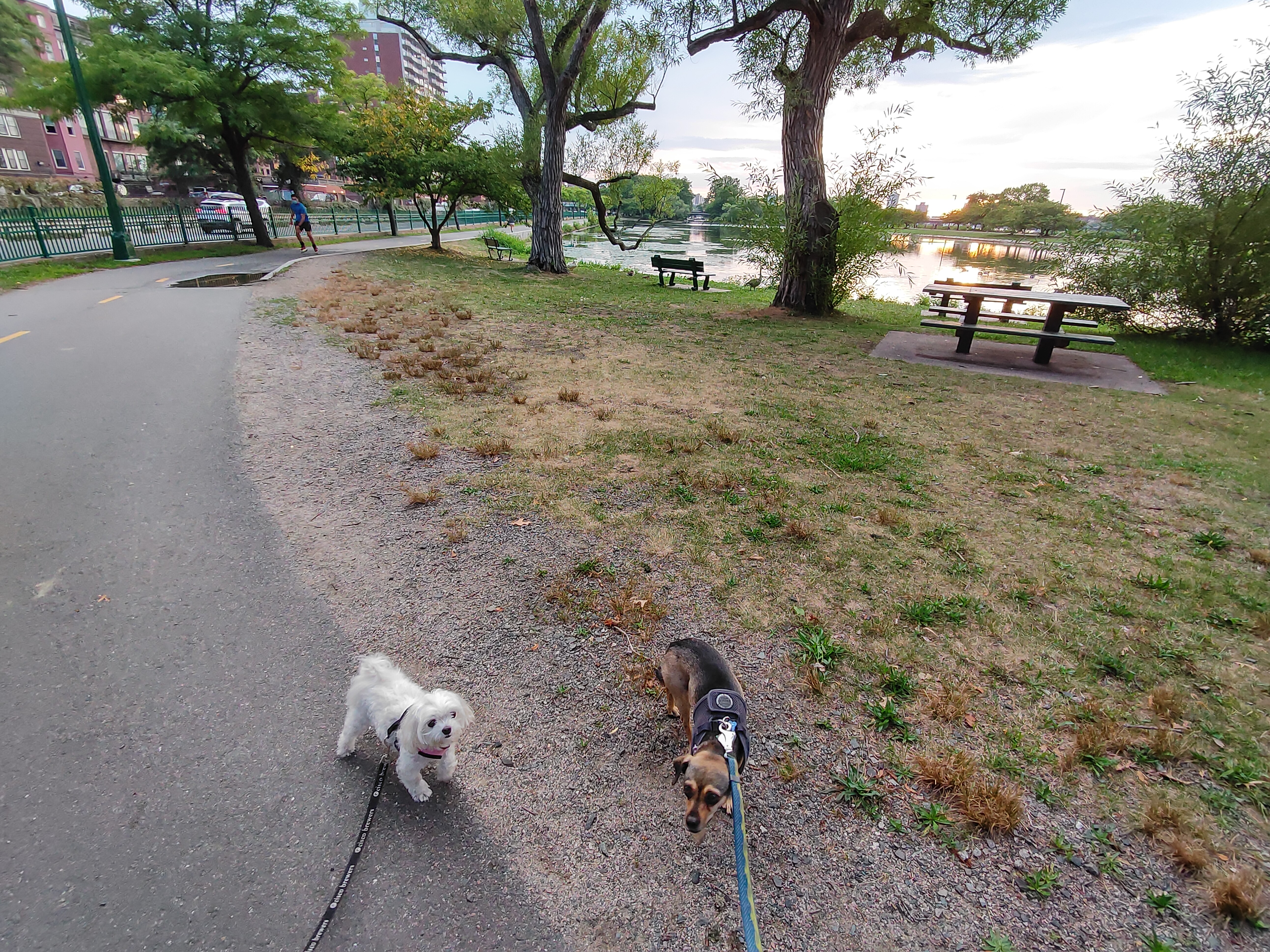 Lily and Lucy on the Esplanade